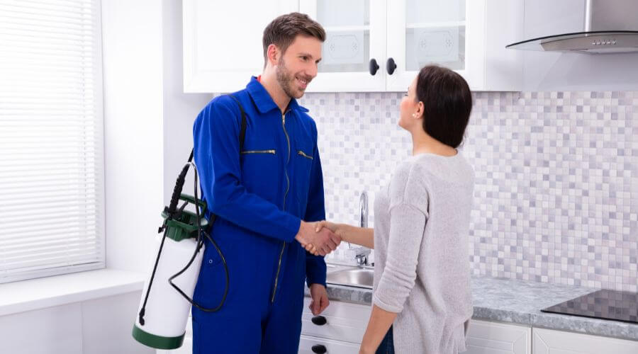 Why choose Ant Control Windsor Ridge for ant control in Windsor Ridge